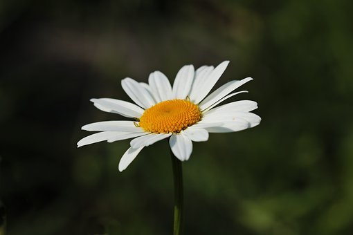 361